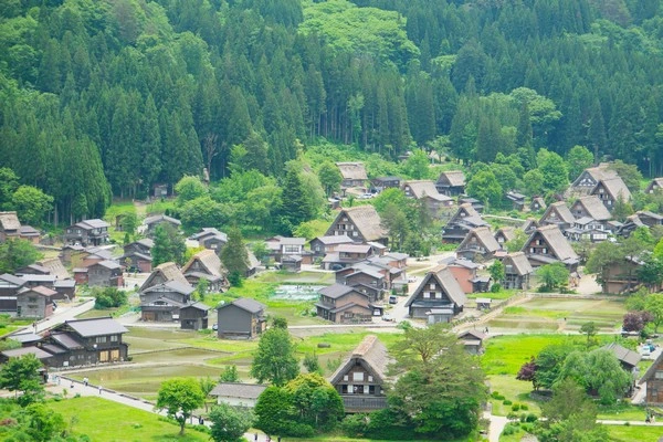 白川鄉合掌村-世界文化遺產-像極了薑餅屋
