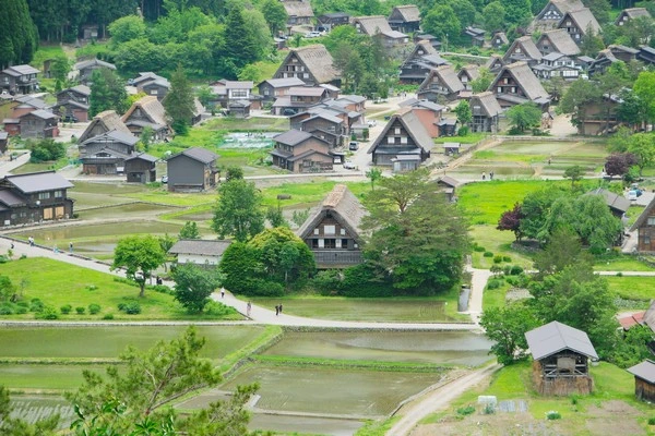 白川鄉合掌村-世界文化遺產-像極了薑餅屋