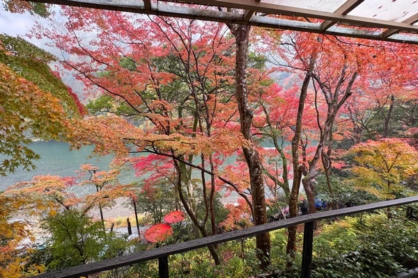 嵐山祐齋亭-圓窗楓葉倒影