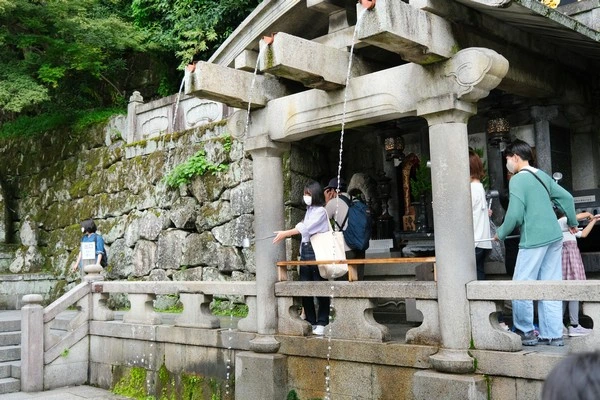清水寺-賞櫻夜櫻與賞楓夜楓京都初旅必看景點
