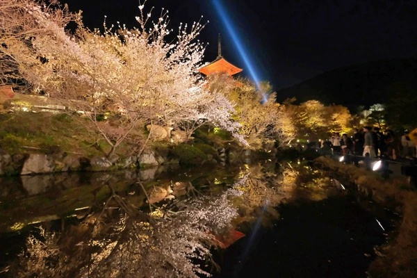 清水寺-賞櫻夜櫻與賞楓夜楓京都初旅必看景點