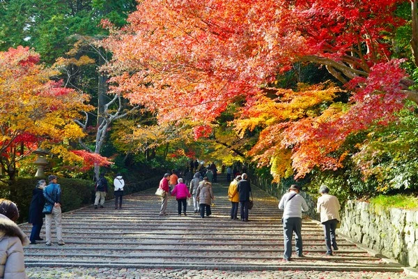 京都光明寺-京都賞楓景點