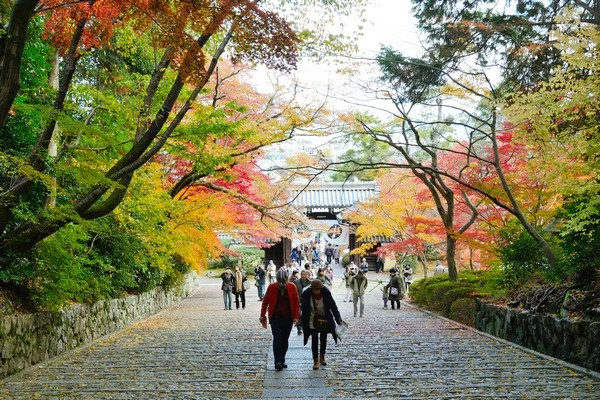 京都光明寺-京都賞楓景點