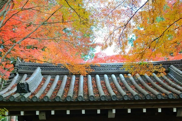 京都光明寺-京都賞楓景點